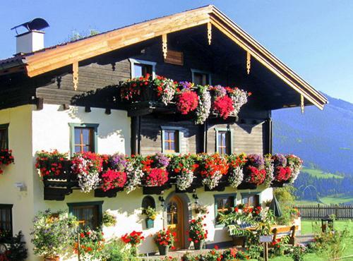 Appartement Brotzeitalm à Pfarrwerfen Extérieur photo